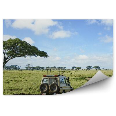 Poszter tapéta terepjáró autó fa fű tócsák út ég felhők Safari