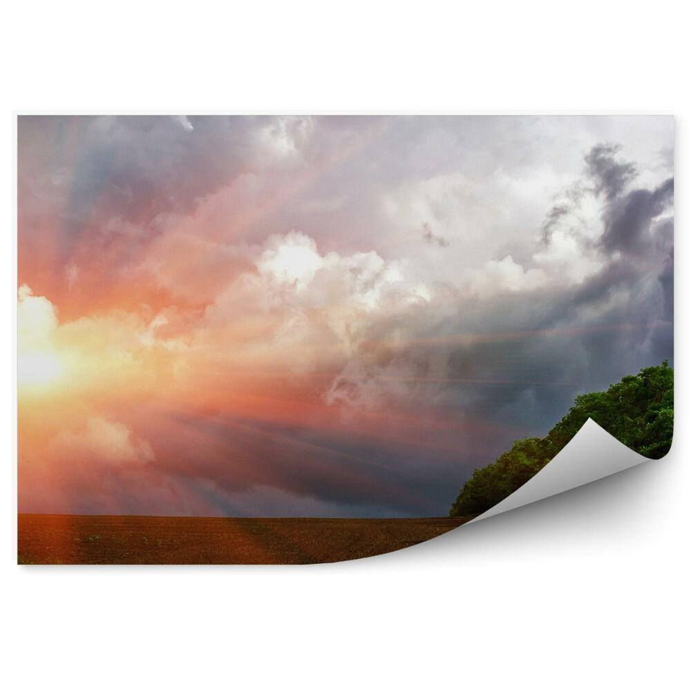 Öntapadó fotótapéta Fa mező naplemente felhők