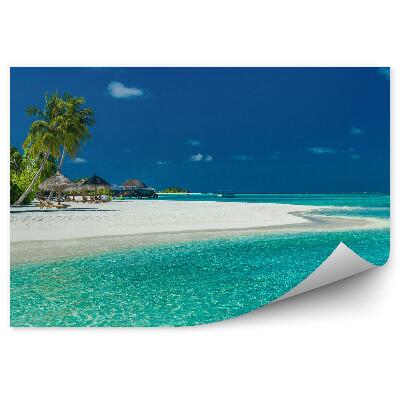 Öntapadós fotótapéta Pálmafák strand napozóágyak turizmus nyár