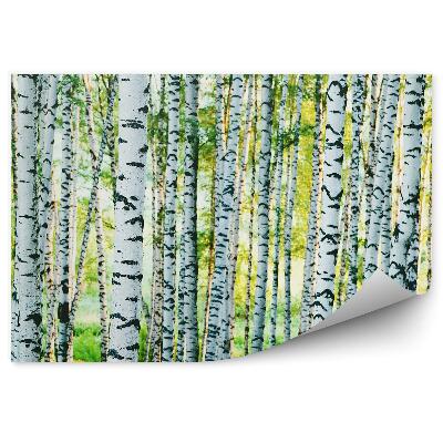 Öntapadó fotótapéta Zöld fű