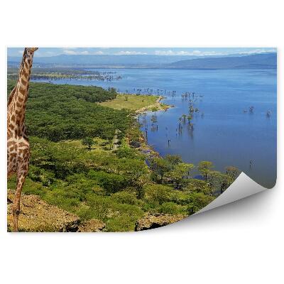 Öntapadó fotótapéta Kenya nemzeti park zsiráf táj jellegű