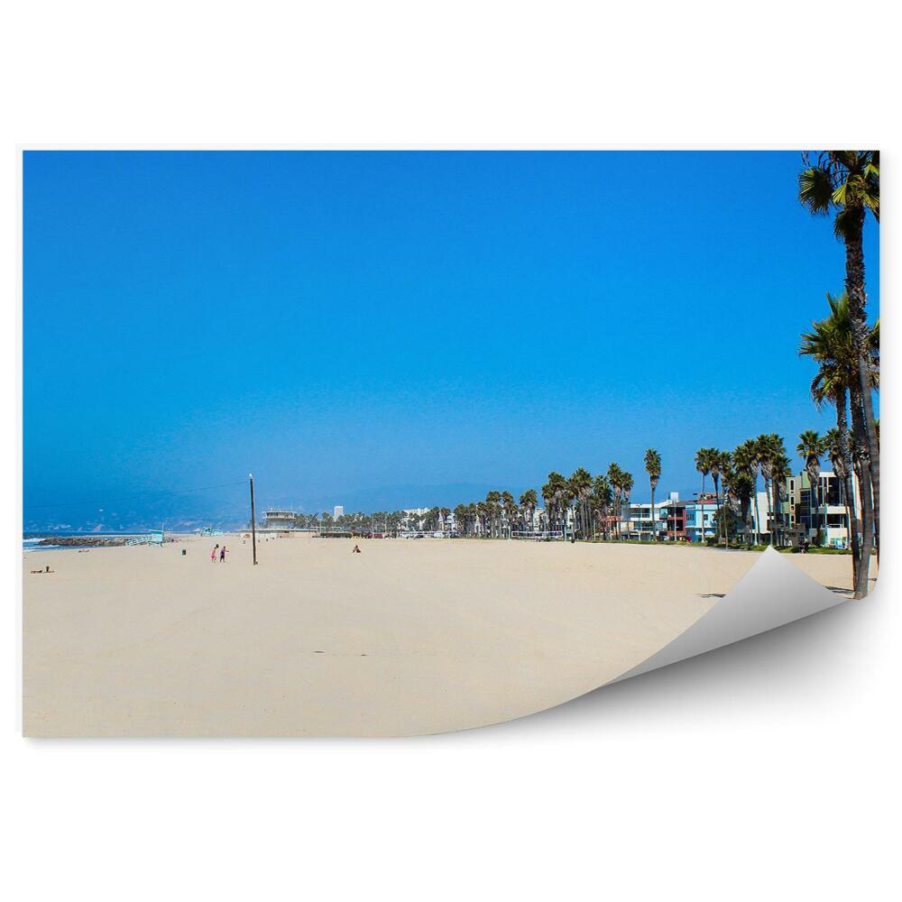 Poszter tapéta Tengerparti homokos víz nyári pálmafák