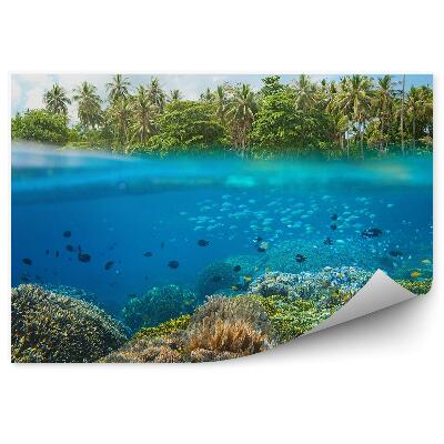 Öntapadós fotótapéta Hal korall zátony trópusok pálmafák vízvonal