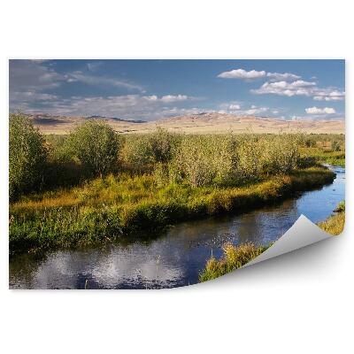 Öntapadós fotótapéta folyó patak sivatagi homok fű a parton