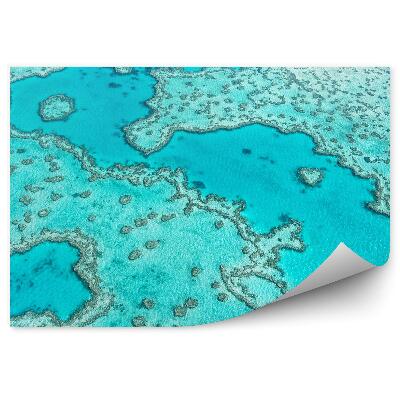 Öntapadós fotótapéta Légifelvétel egy korallzátony kék