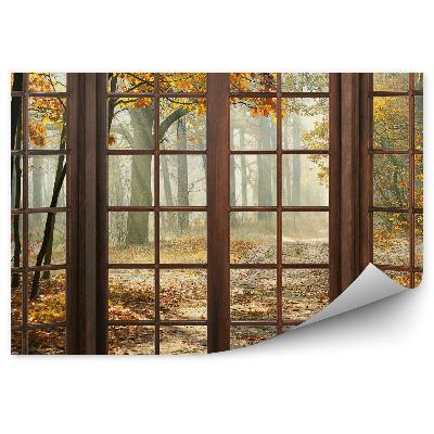 Fotótapéta Őszi park a fa ablakon kívül