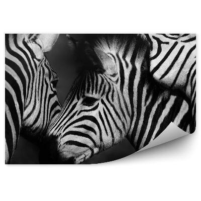 Öntapadós fotótapéta Egy csoport zebra közelről