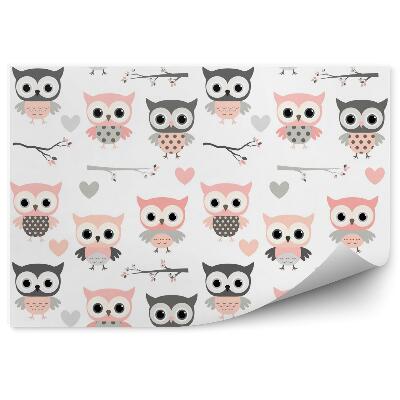 Poszter tapéta Rajzfilm rózsaszín baglyok