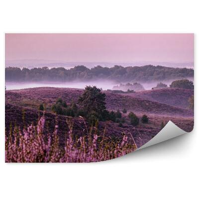 Fotótapéta A láp a ködben