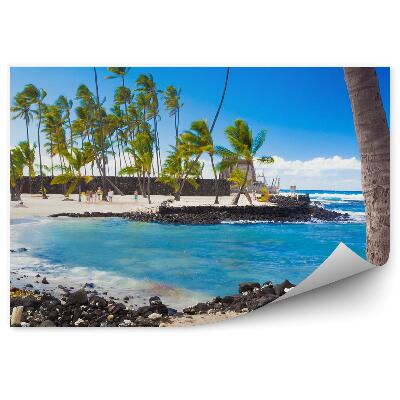 Fotótapéta pálmafák növények talaj ég felhők Hawaii