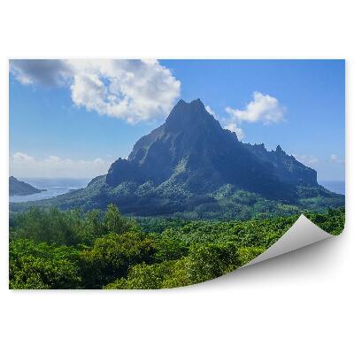 Öntapadós fotótapéta madártávlatból öböl domb lagúna