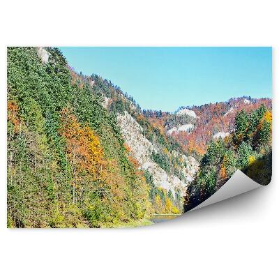 Öntapadós fotótapéta Czarny Dunajec Pieniny őszi erdő