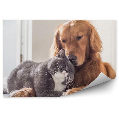 Öntapadós fotótapéta Brit macska kutyabarátok pihennek