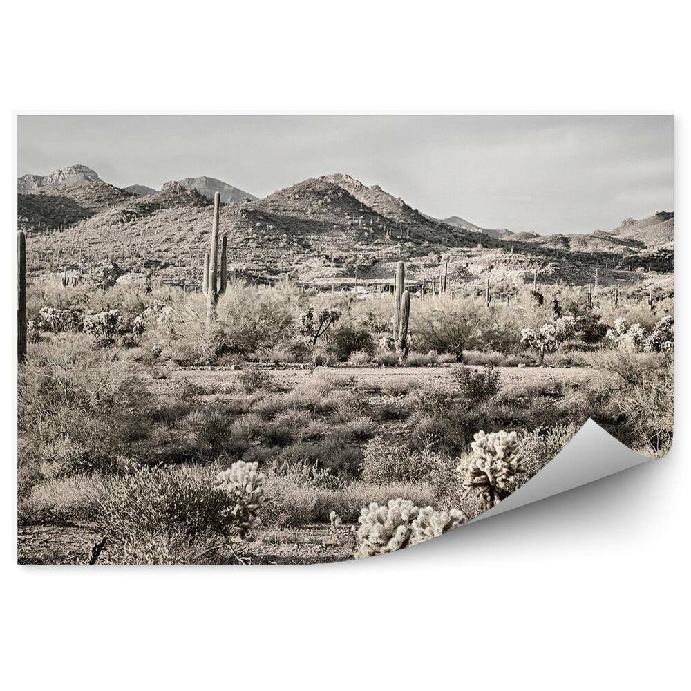 Öntapadó fotótapéta Szépia kaktuszok növények fák ég felhők sivatag