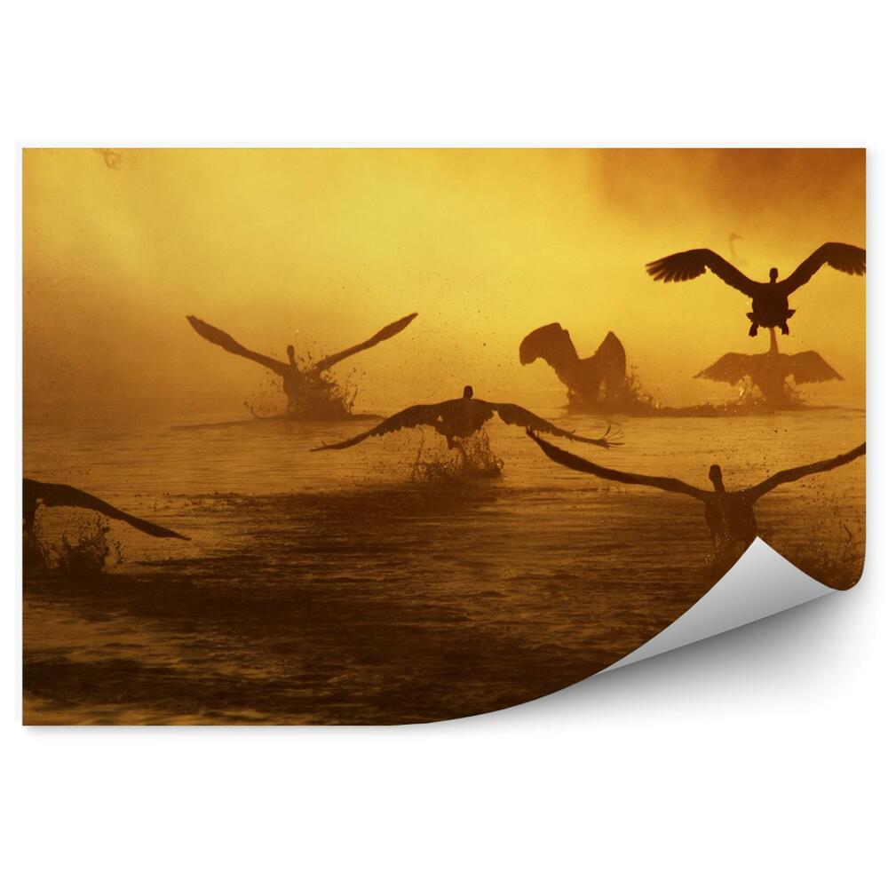 Modern fotótapéta Hattyúk repülnek a folyó felett