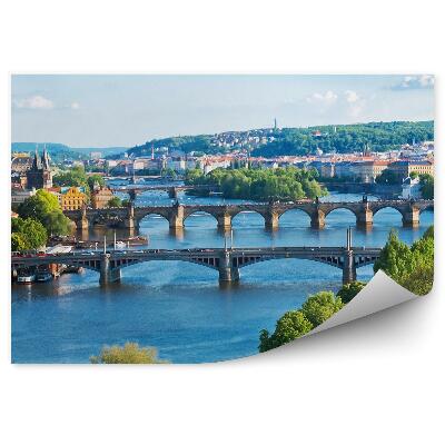 Fotótapéta Csehország építészeti növények