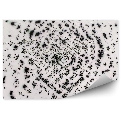 Fotótapéta Kaotikus fekete pontok világos háttéren