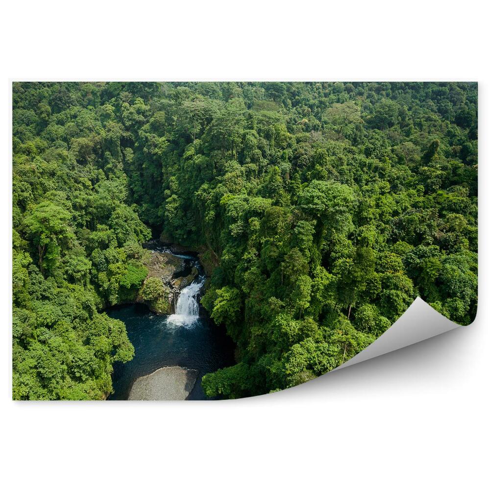 Öntapadó fotótapéta Erdei folyó természet élővilág