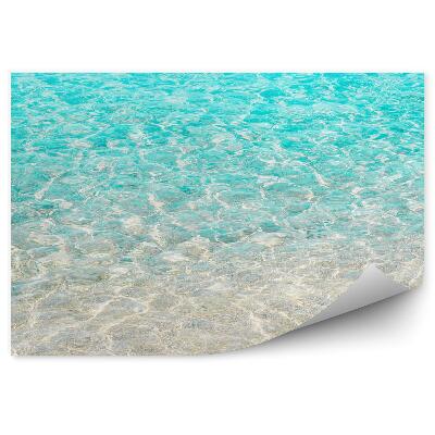 Öntapadó fotótapéta Átlátszó tengervíz