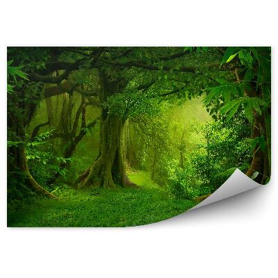 Öntapadós fotótapéta Trópusi dzsungel zöld természet