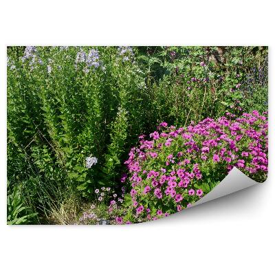 Fotótapéta Kert színes virágok zöld bokrok