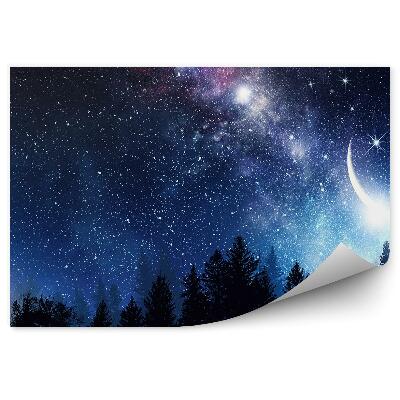 Modern fotótapéta Tűlevelű fák égbolt csillagos ég tejút hold