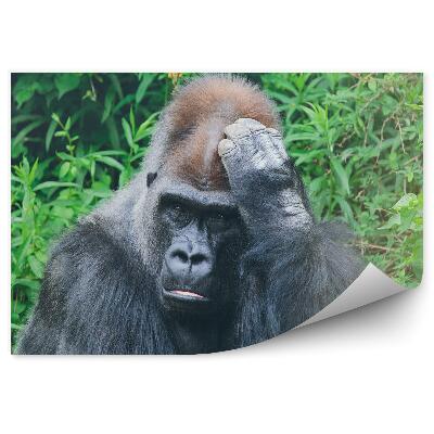 Poszter tapéta Egy átgondolt gorilla a trópusi növényzet hátterében