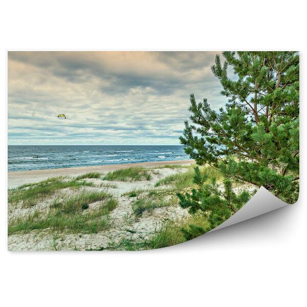 Öntapadós fotótapéta falra Táj tűlevelű fák sárkányok óceán tengeri égbolt fű naplemente