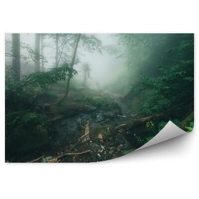 Öntapadó fotótapéta Ködös fenyves páfrányok