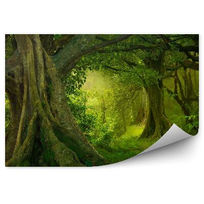Öntapadó fotótapéta Zöld dzsungel fák bokrok