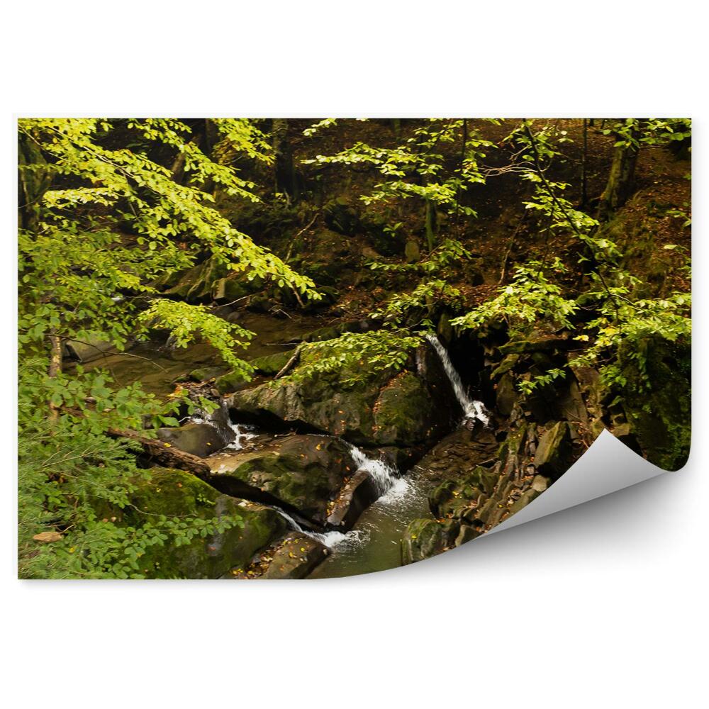 Öntapadó fotótapéta Erdei patak Bieszczady hegység