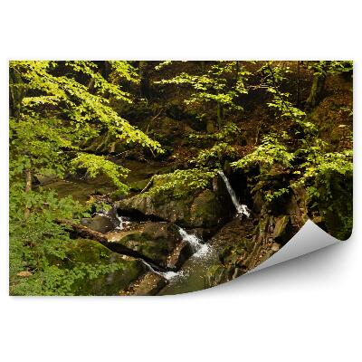 Öntapadó fotótapéta Erdei patak Bieszczady hegység