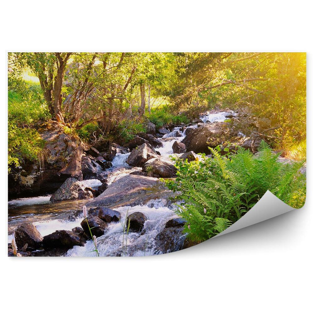 Öntapadós fotótapéta Hegy folyó patak sziklák természet zöld