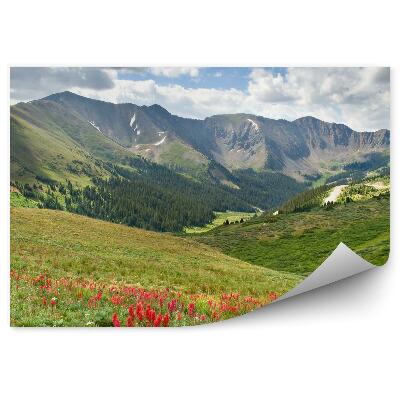 Öntapadós fotótapéta Alpesi rét virágok zöld növényzet