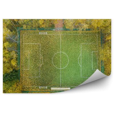 Fotótapéta Futballpálya felülről