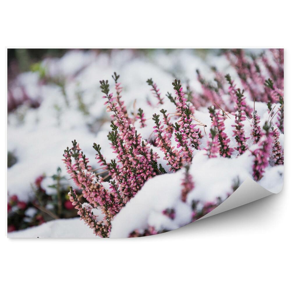 Fotótapéta Hangák a hóban