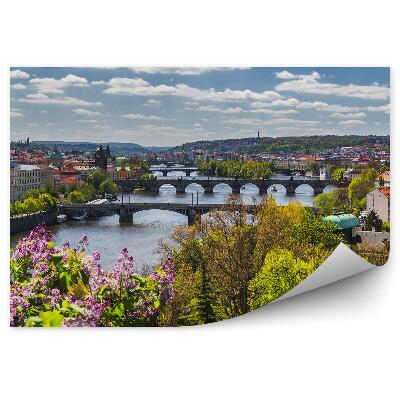 Öntapadós fotótapéta Városi panoráma madártávlatból virágok bokrok