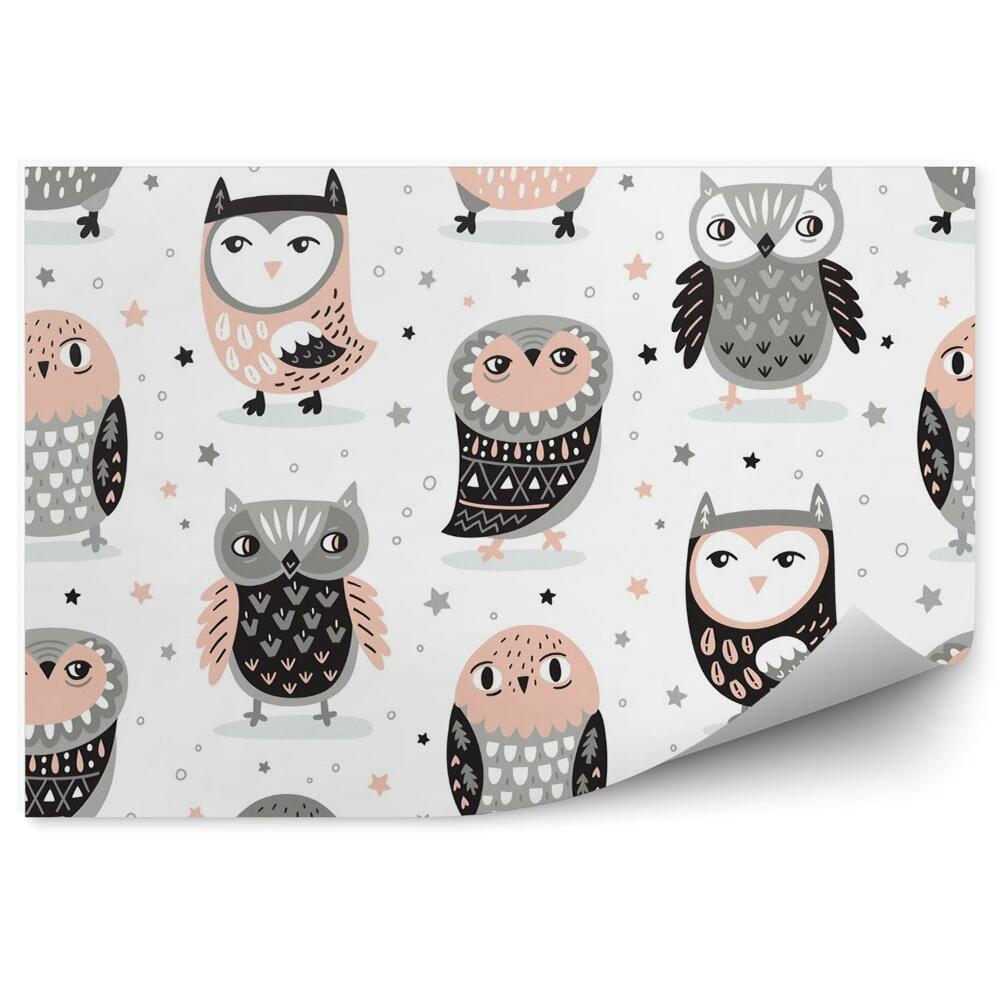 Poszter tapéta Rajzfilm baglyok