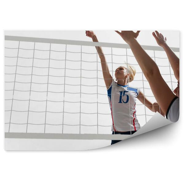 Fotótapéta Röplabda játékosok labda