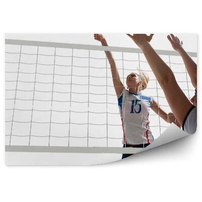 Fotótapéta Röplabda játékosok labda