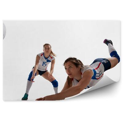 Fotótapéta Röplabda játékosok labda