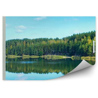Öntapadós fotótapéta Erdei fák zöld nyári tó nyitott ablak