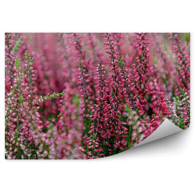 Poszter tapéta Hanga gallyak