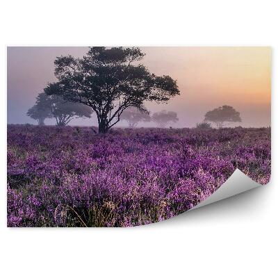 Poszter tapéta A láp a ködben