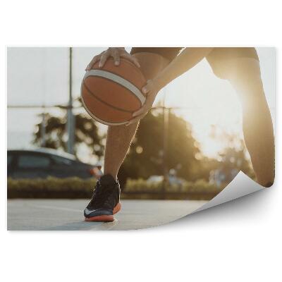 Fotótapéta Autó kosárlabda füves játszótér