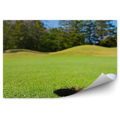 Fotótapéta Golflabda lyuk és tűlevelű fák ég