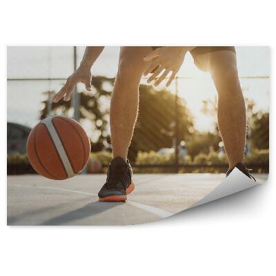 Fotótapéta Autó kosárlabda füves játszótér