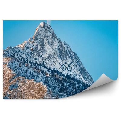 Öntapadó fotótapéta Hegycsúcs Giewont tűlevelű fák hó tél hold Tátra