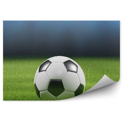 Fotótapéta Futball gyep lámpák