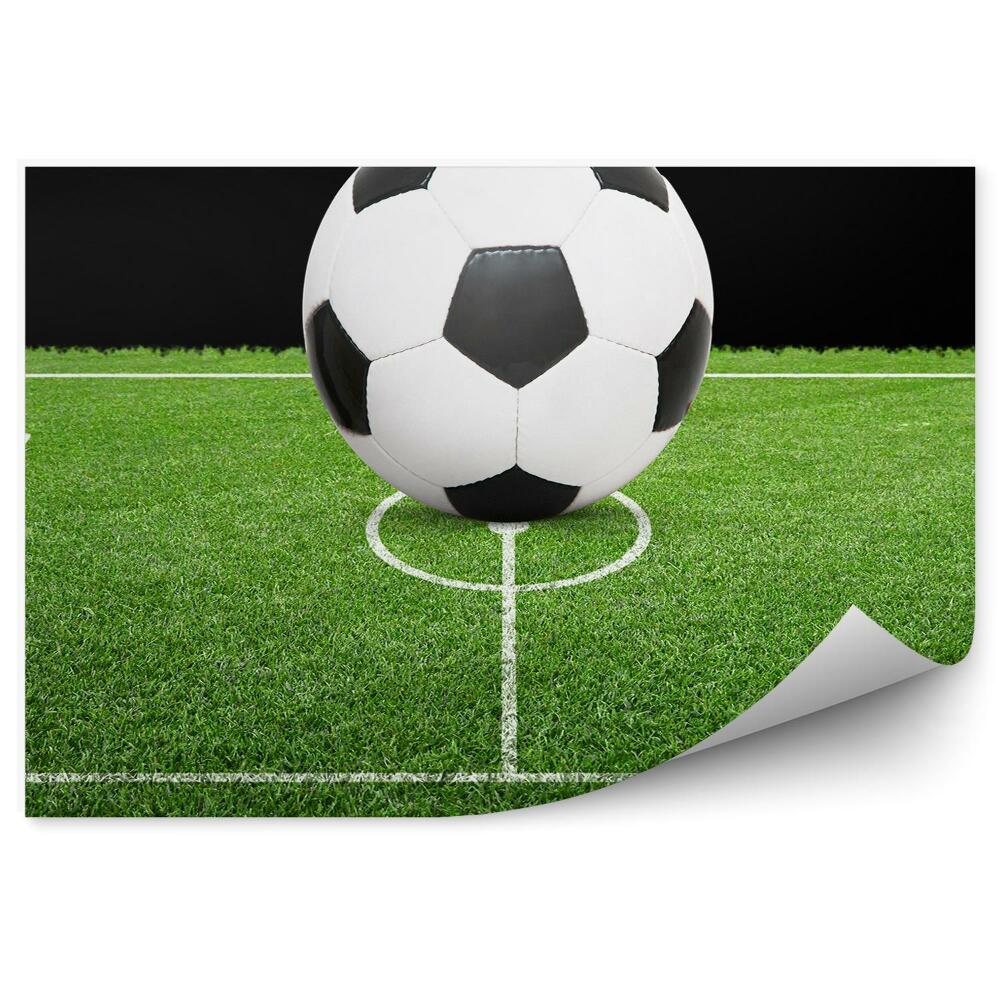 Fotótapéta Futballkapu mező gyep